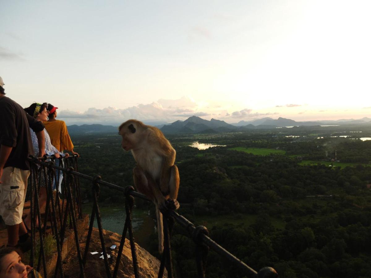One More Night Hostel Sigiriya Dış mekan fotoğraf