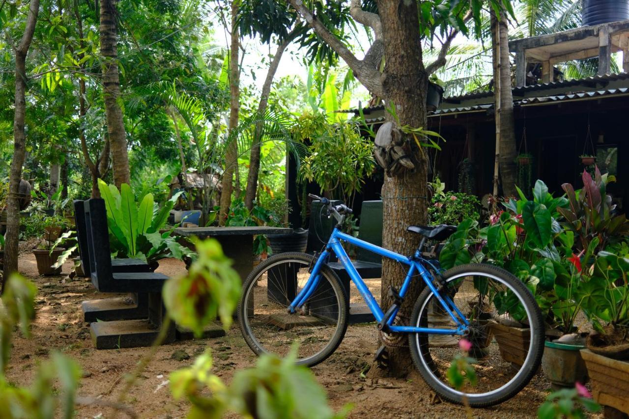 One More Night Hostel Sigiriya Dış mekan fotoğraf
