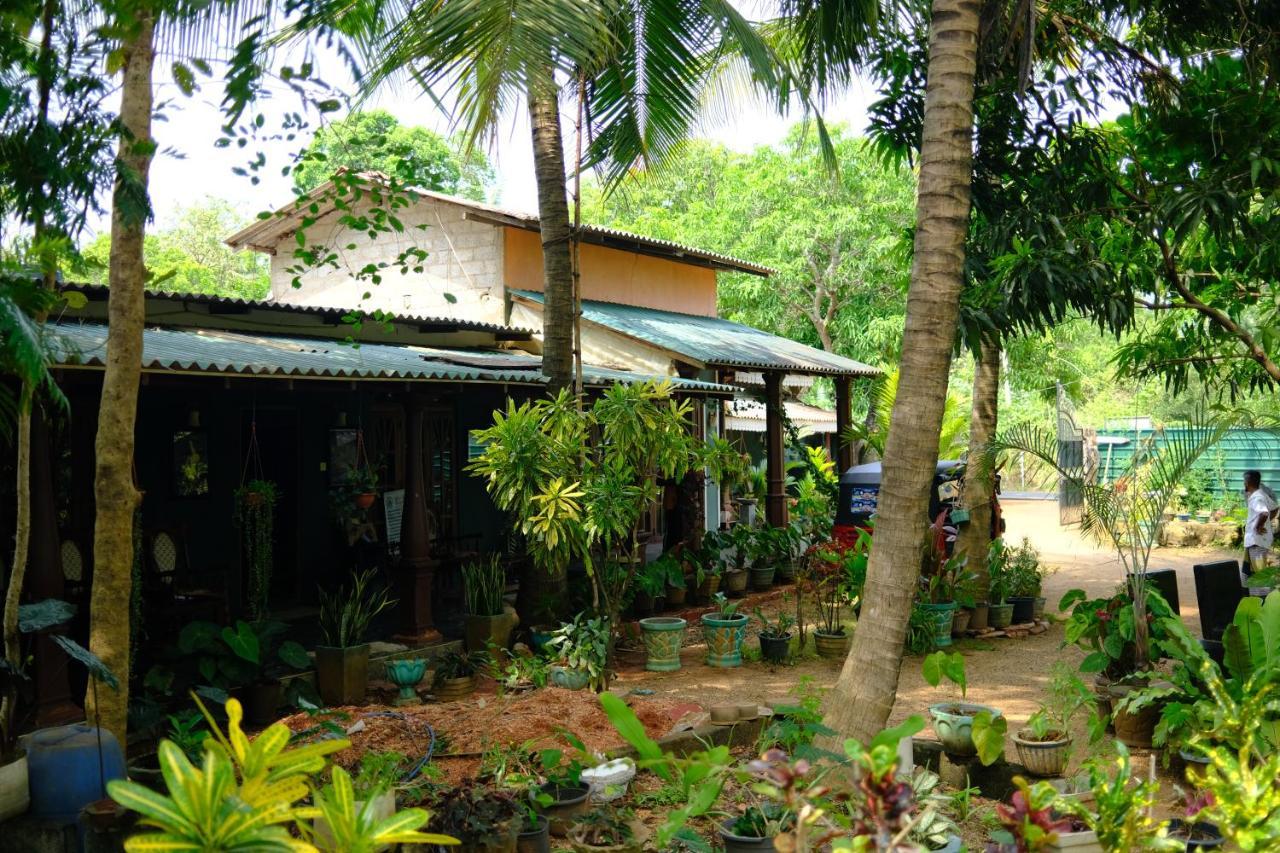 One More Night Hostel Sigiriya Dış mekan fotoğraf
